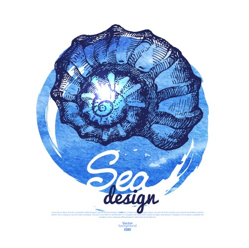 Watercolor Seashell Sketch Vector Image