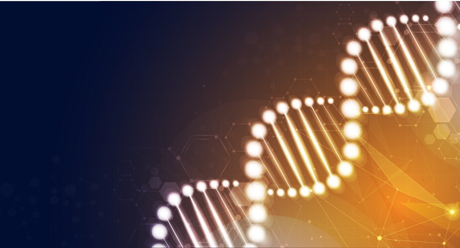 Dna digital sequence code structure with glow vector image