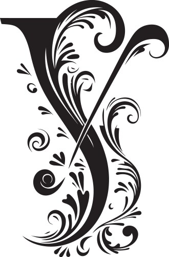 Yin yang patterns balanced font y yuletide vector image