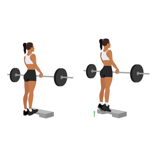 Woman doing standing calf raises with barbell vector image