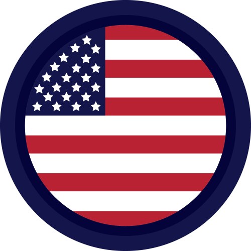 United States Flag Stamp Vector Image