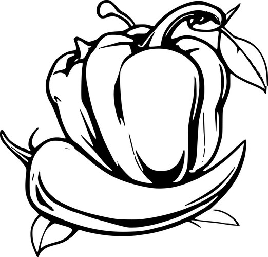 Bell Pepper and Chili Outline Vector Image