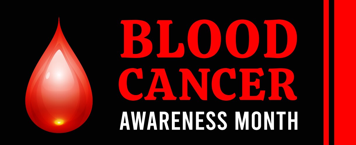 Blood cancer awareness month vector image