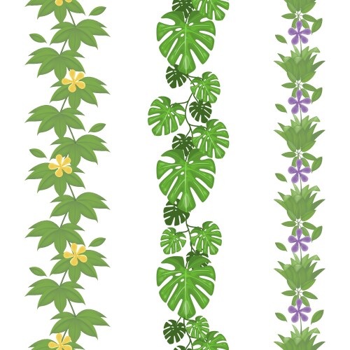 Set jungle leaves seamless borders tropical Vector Image