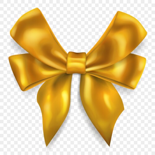 Beautiful big bow vector image