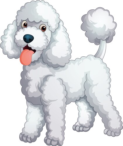 Cartoon poodle Vector Images & Graphics for Commercial Use | VectorStock