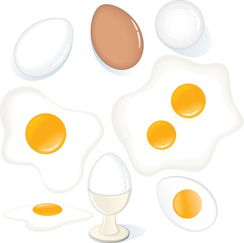 Fried chicken eggs Royalty Free Vector Image - VectorStock