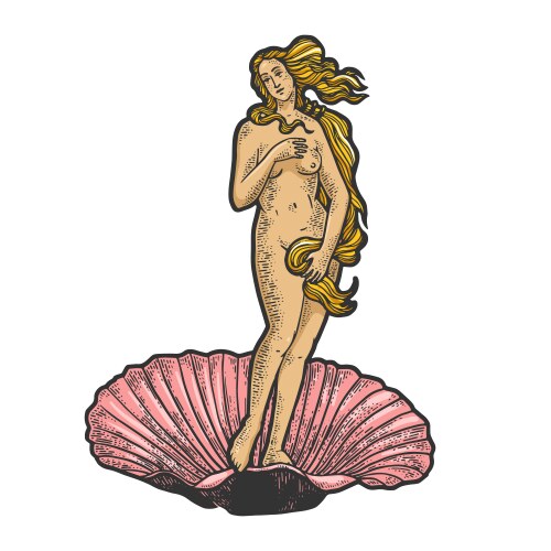 Birth of Venus Sketch Vector Image