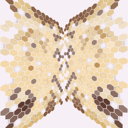 Geometric background abstract hexagonal pattern vector image