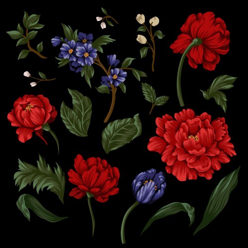 Red peonies leaves and other flowers isolated Vector Image