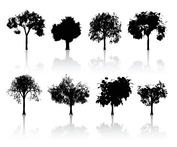 Tree silhouettes Royalty Free Vector Image - VectorStock