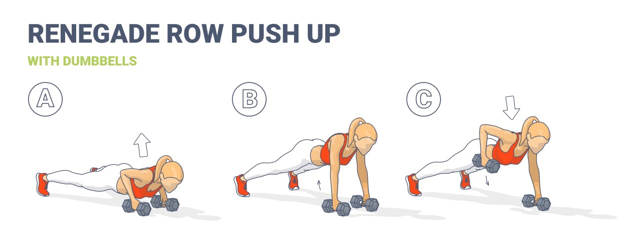 Renegade row push-up exercise guide in 3 steps vector image