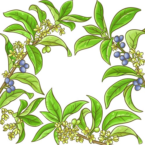 Linden frame Royalty Free Vector Image - VectorStock