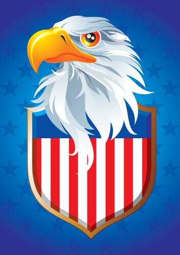 Stars and Stripes Symbol Vector Image