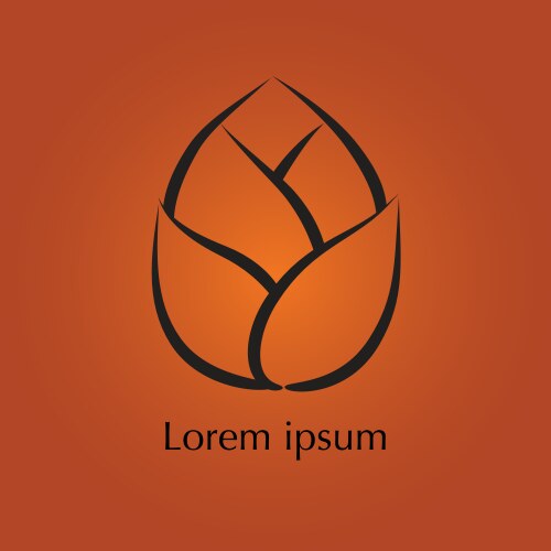 Lotus flower Vector Image