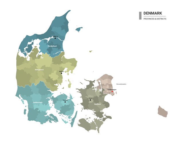 Denmark higt detailed map with subdivisions vector image