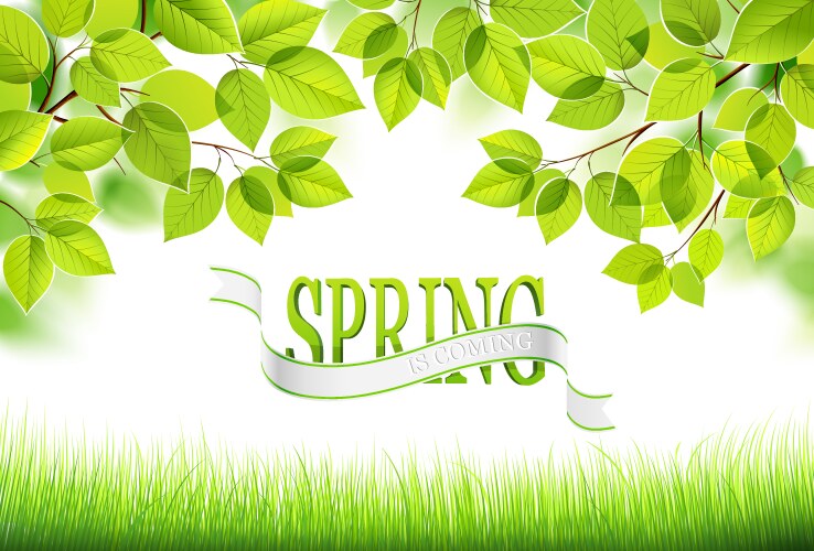 Natural green background Royalty Free Vector Image