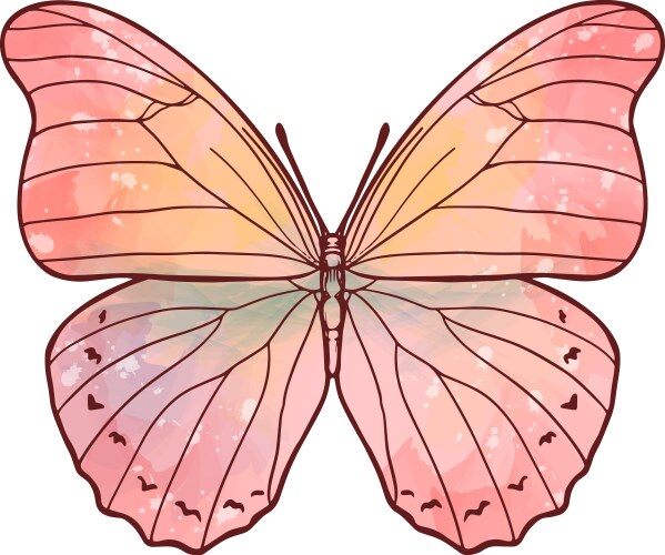 Pink watercolor butterfly stained glass effect vector image