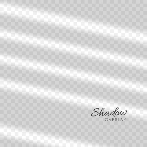 Stripes Translucent Stripe Transparent Background Vector Images (over 41,000)