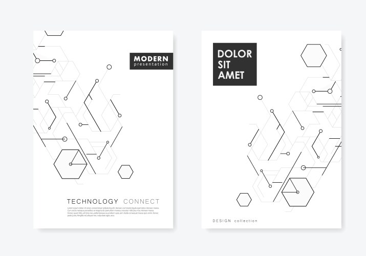 Brochure hexagons abstract pattern lines and dots vector image