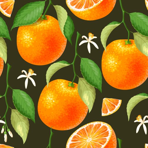 Seamless pattern with oranges Royalty Free Vector Image