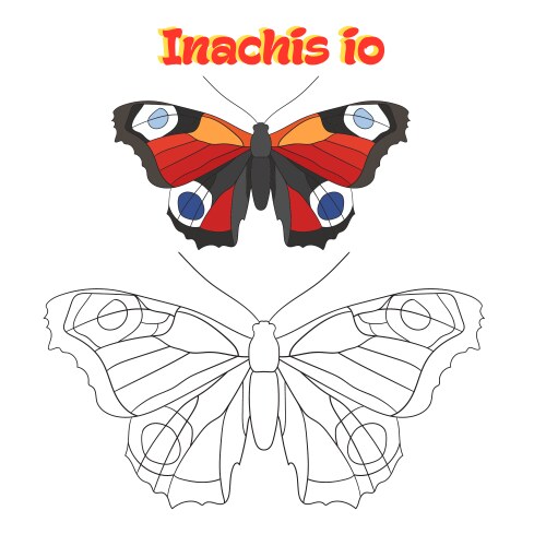 educational game coloring book butterfly vector image