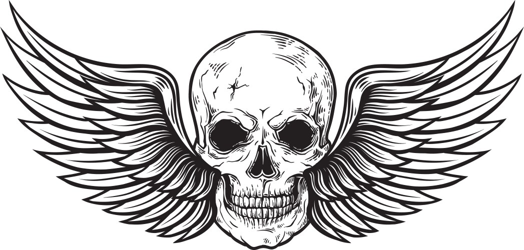 Engraved Skull with Wings Vector Image