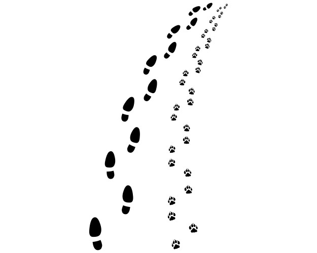 Footprints in the Sand Vector Image