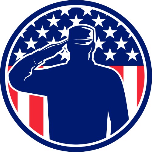 American Veteran Salute Vector Image