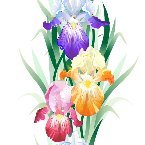 Iris Flower Seamless Pattern Vector Image