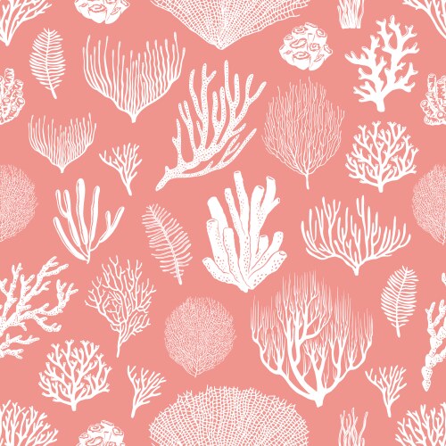 Seamless pattern with hand drawn coral reef Vector Image