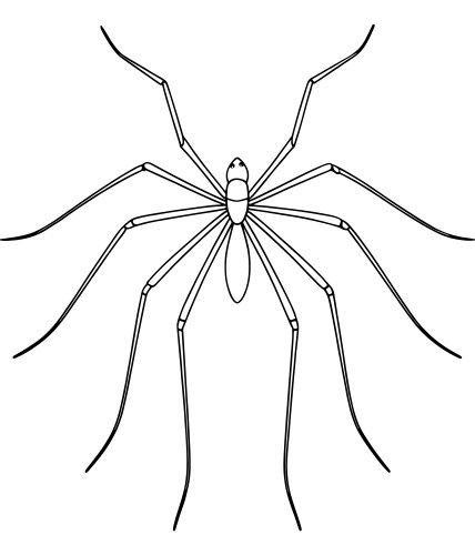 Weta coloring worksheet for insect lovers – Royalty-Free Vector ...