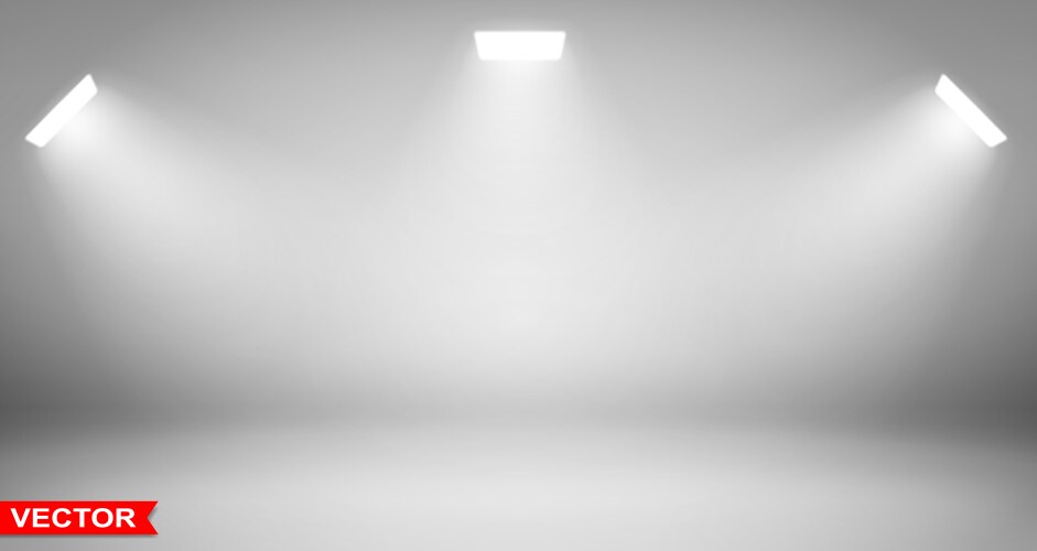 Empty gray studio background with spotlights Vector Image
