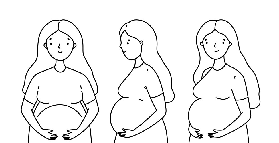 Smiling pregnant women Vector Image