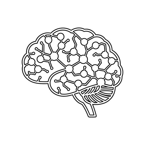 Detailed Human Brain Anatomy Drawing Vector Image