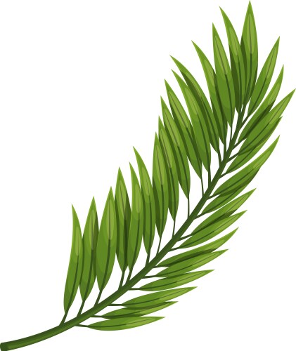 Green fern leaf Royalty Free Vector Image - VectorStock