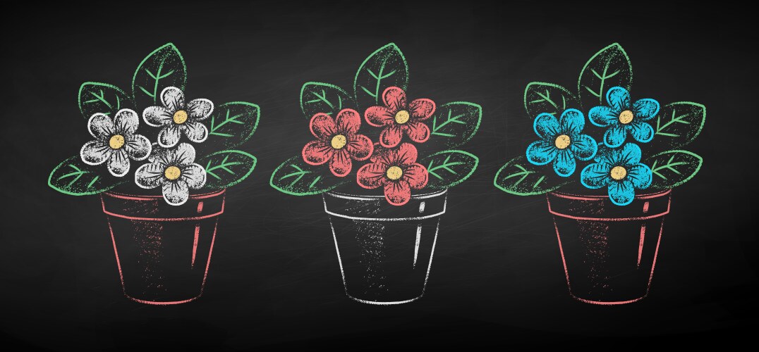 Chalk Flower Pot Drawing Vector Image