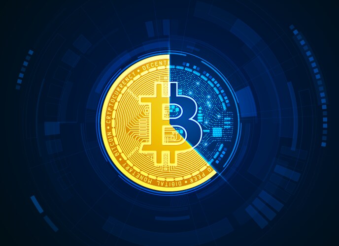 inside bitcoin vector image