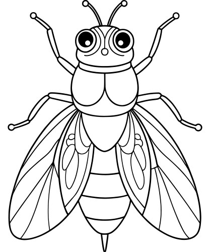 Weta coloring worksheet for insect lovers – Royalty-Free Vector ...
