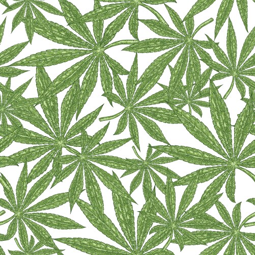Cannabis seamless pattern green leaves marijuana Vector Image
