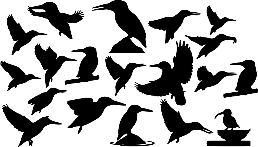 Solid black silhouette of a kingfisher Vector Image