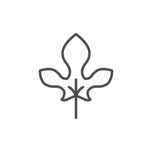 Lettuce line icon vegetable and salad leaf Vector Image