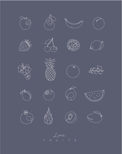 Pen line fruits icons grey vector image