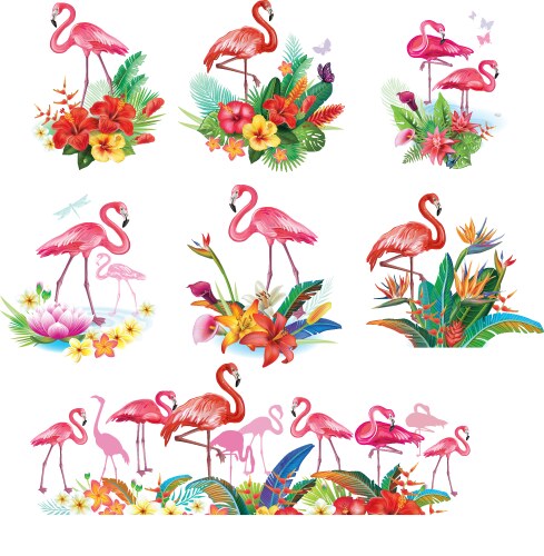Tropical Flamingo Flowers Vector Image