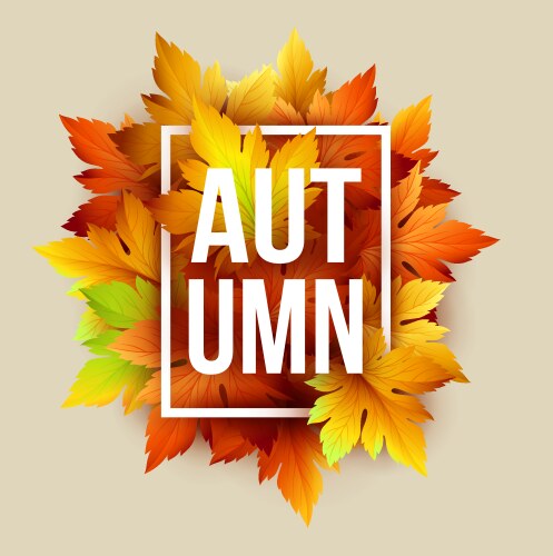 Autumn leaf poster with fall season foliage Vector Image