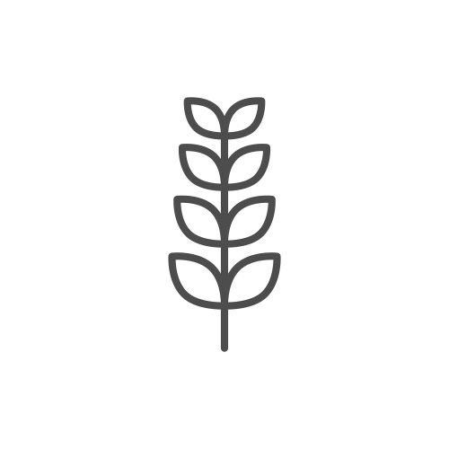 Oak leaf hand drawn sketch icon Royalty Free Vector Image