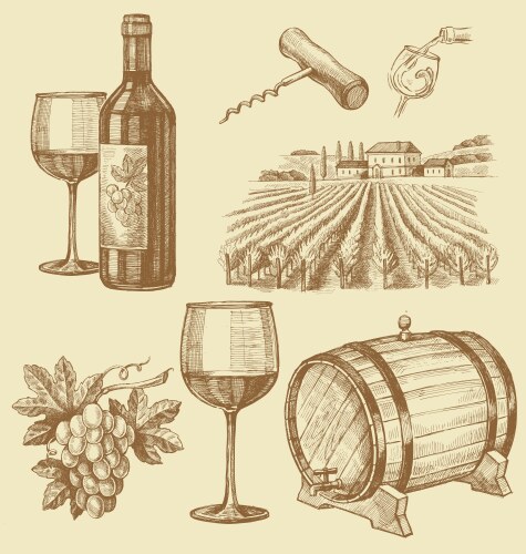 Wine Sketch Collection Vector Image