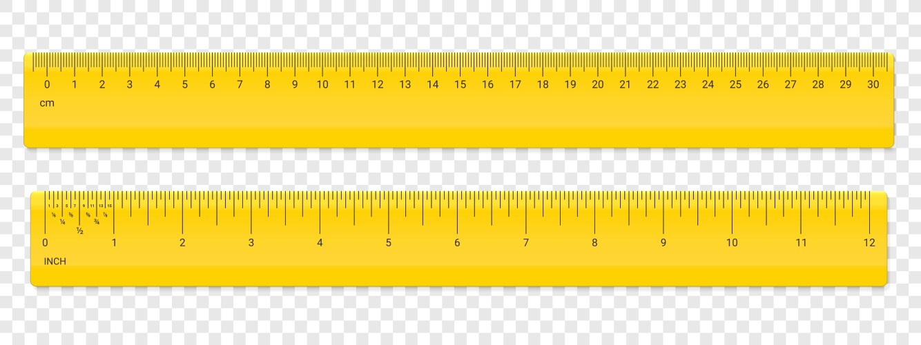 ruler centimeter and inches scale plastic vector