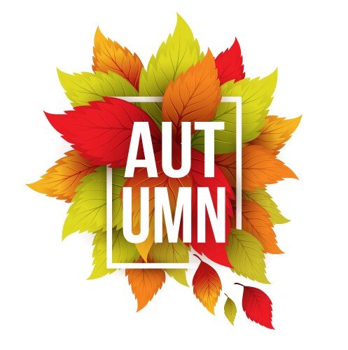 Autumn leaf poster with fall season foliage Vector Image