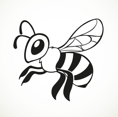 bee flies line art isolated on a white background vector image